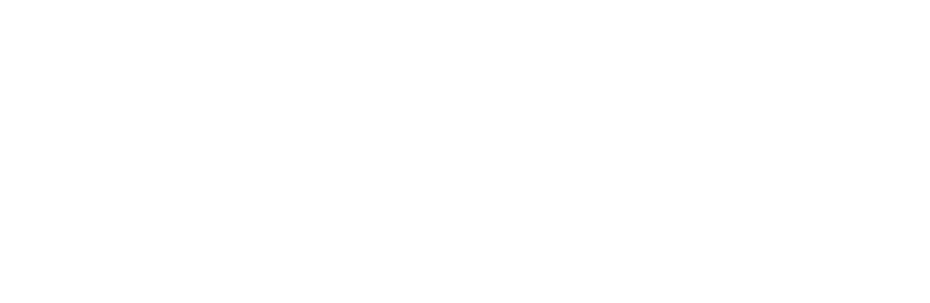 Ana Magalhães Shoes Logo